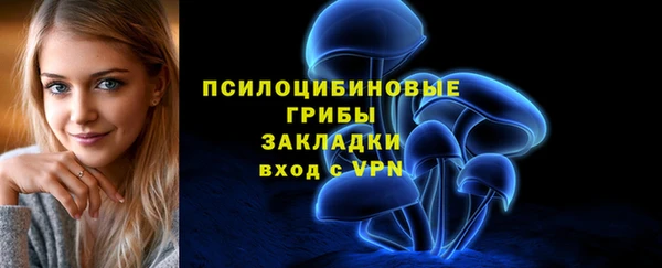 эйфоретик Елабуга