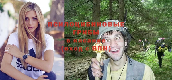 mdpv Елизово