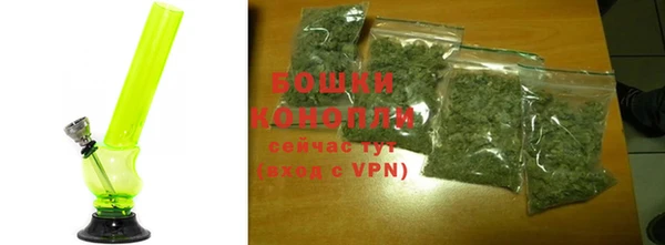 прущая мука Ельня