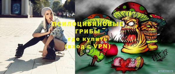 mdpv Елизово