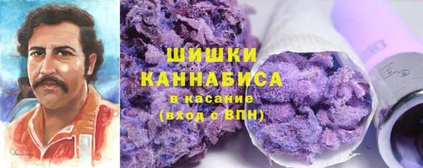 прущая мука Ельня