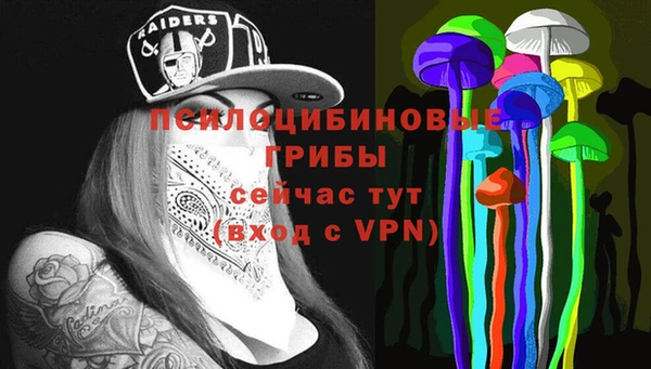 mdpv Елизово