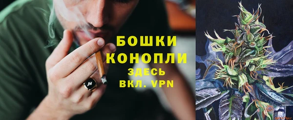 прущая мука Ельня