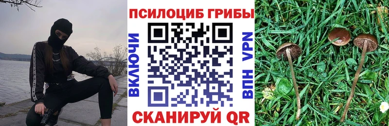 Псилоцибиновые грибы MAGIC MUSHROOMS Ильский